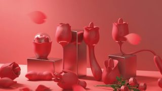 The Enchanting Power of the Rose Toy: A Journey from Romance to Bliss